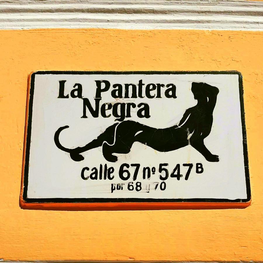 Bed and Breakfast La Pantera Negra Мерида Экстерьер фото