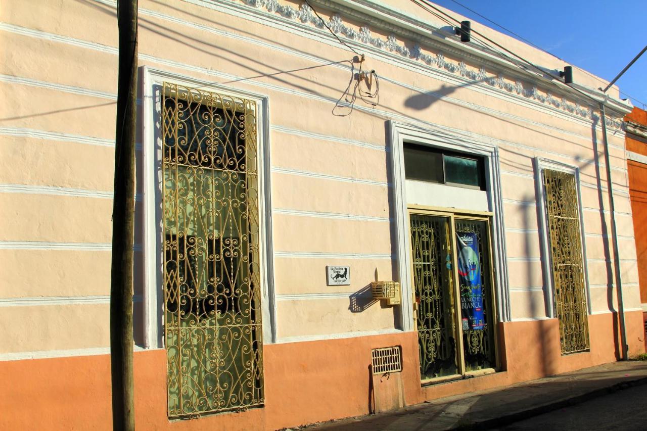Bed and Breakfast La Pantera Negra Мерида Экстерьер фото