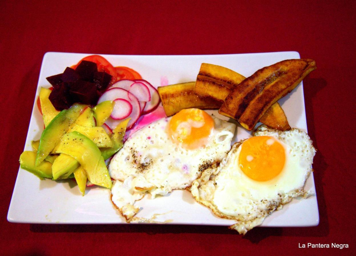 Bed and Breakfast La Pantera Negra Мерида Экстерьер фото